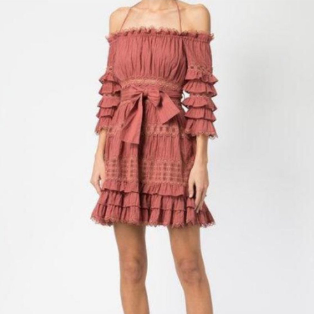 Zimmermann Ruffled Lace Mini Dress in Rust - Picture 4 of 8